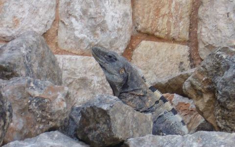 Yucatán & Quintana Roo, Mexico, 2007