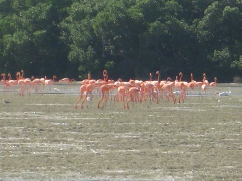 Yucatán & Quintana Roo, Mexico, 2007