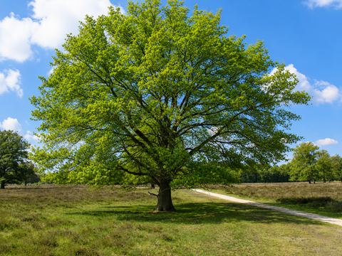 landschapsfotografie