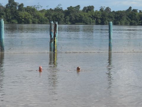 Suriname, 2010