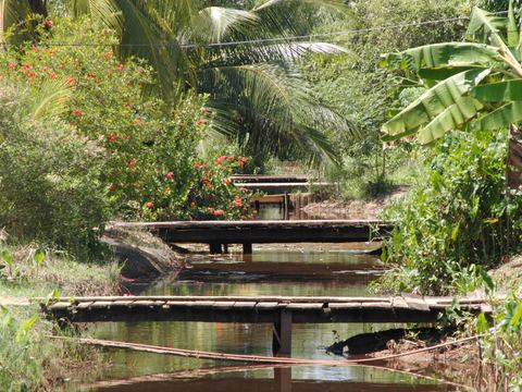 Paramaribo e.o., Suriname, 2008