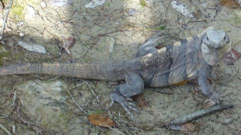 Yucatán & Quintana Roo, Mexico, 2007