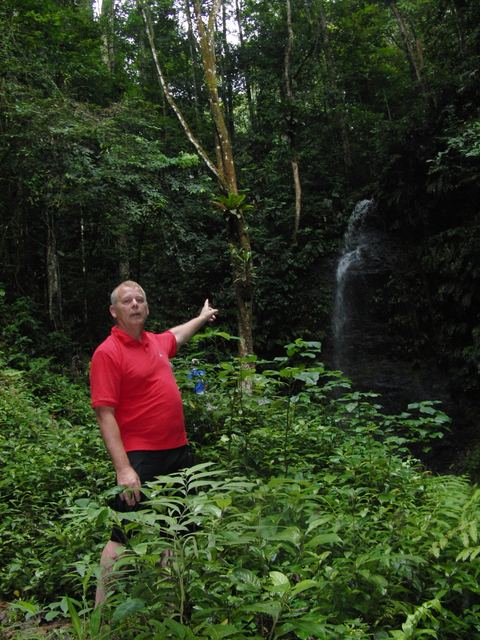 Paramaribo e.o., Suriname, 2008