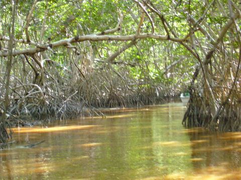 Yucatán & Quintana Roo, Mexico, 2007