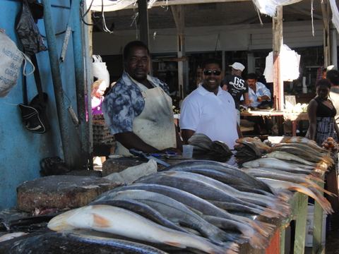 Paramaribo e.o., Suriname, 2008