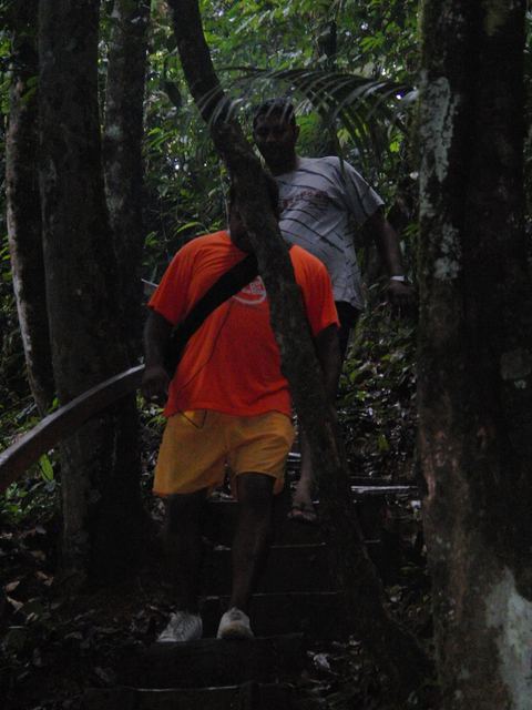 Paramaribo e.o., Suriname, 2008