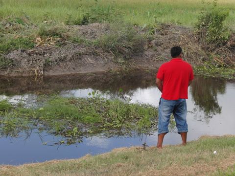 Paramaribo e.o., Suriname, 2008
