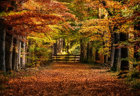 landschapsfotografie
