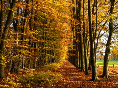 landschapsfotografie