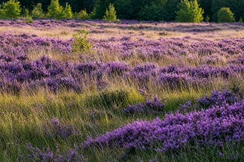 landschapsfotografie