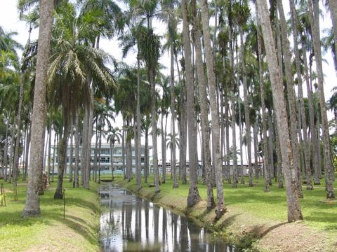 Paramaribo e.o., Suriname, 2008