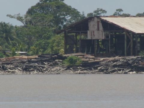 Paramaribo e.o., Suriname, 2008