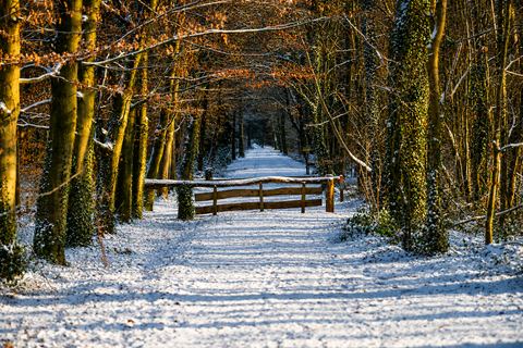 landschapsfotografie