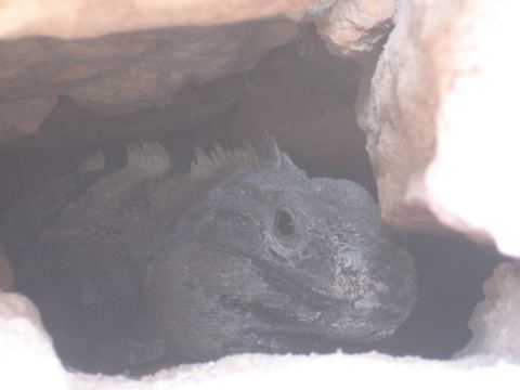 Yucatán & Quintana Roo, Mexico, 2007